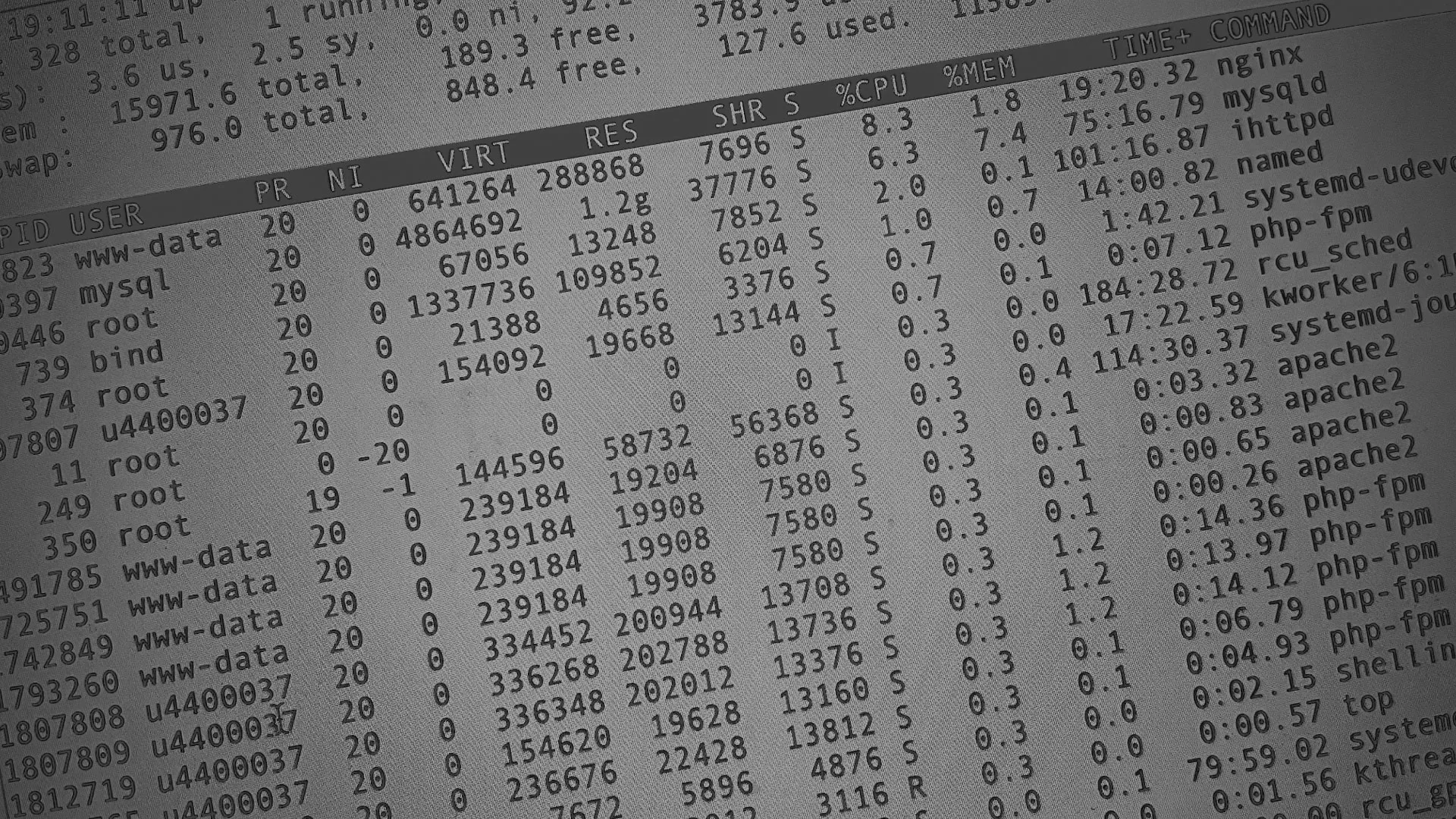 Настройка сервера в Белой Калитве