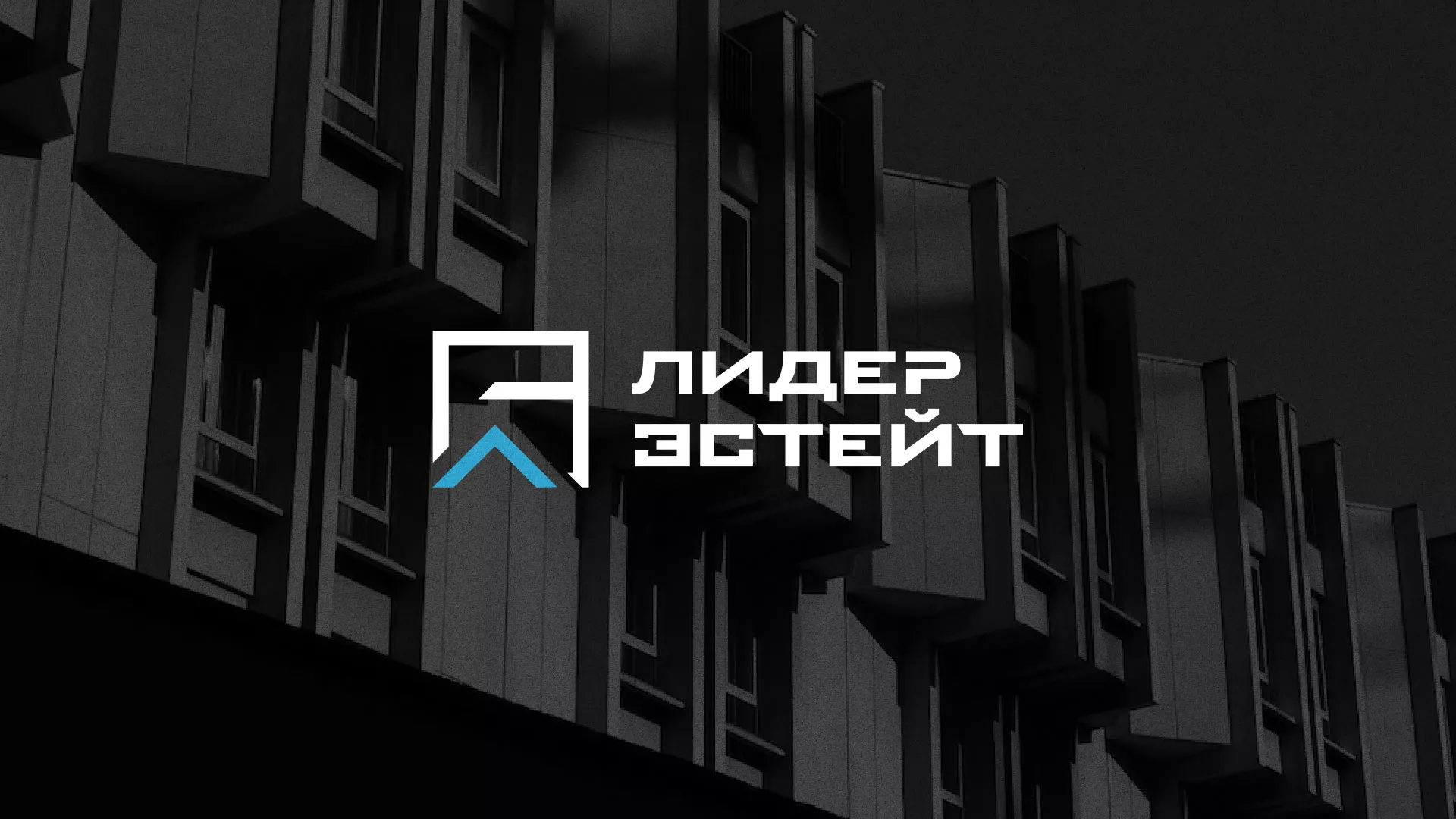 Разработка логотипа агентства недвижимости «Лидер Эстейт» в Белой Калитве