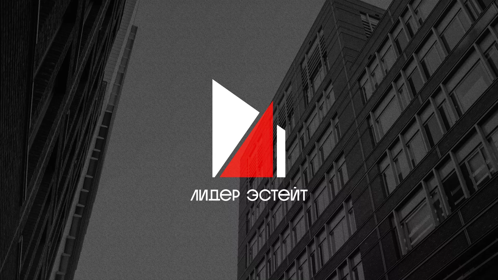 Сделали логотип для агентства недвижимости «Лидер Эстейт» в Белой Калитве