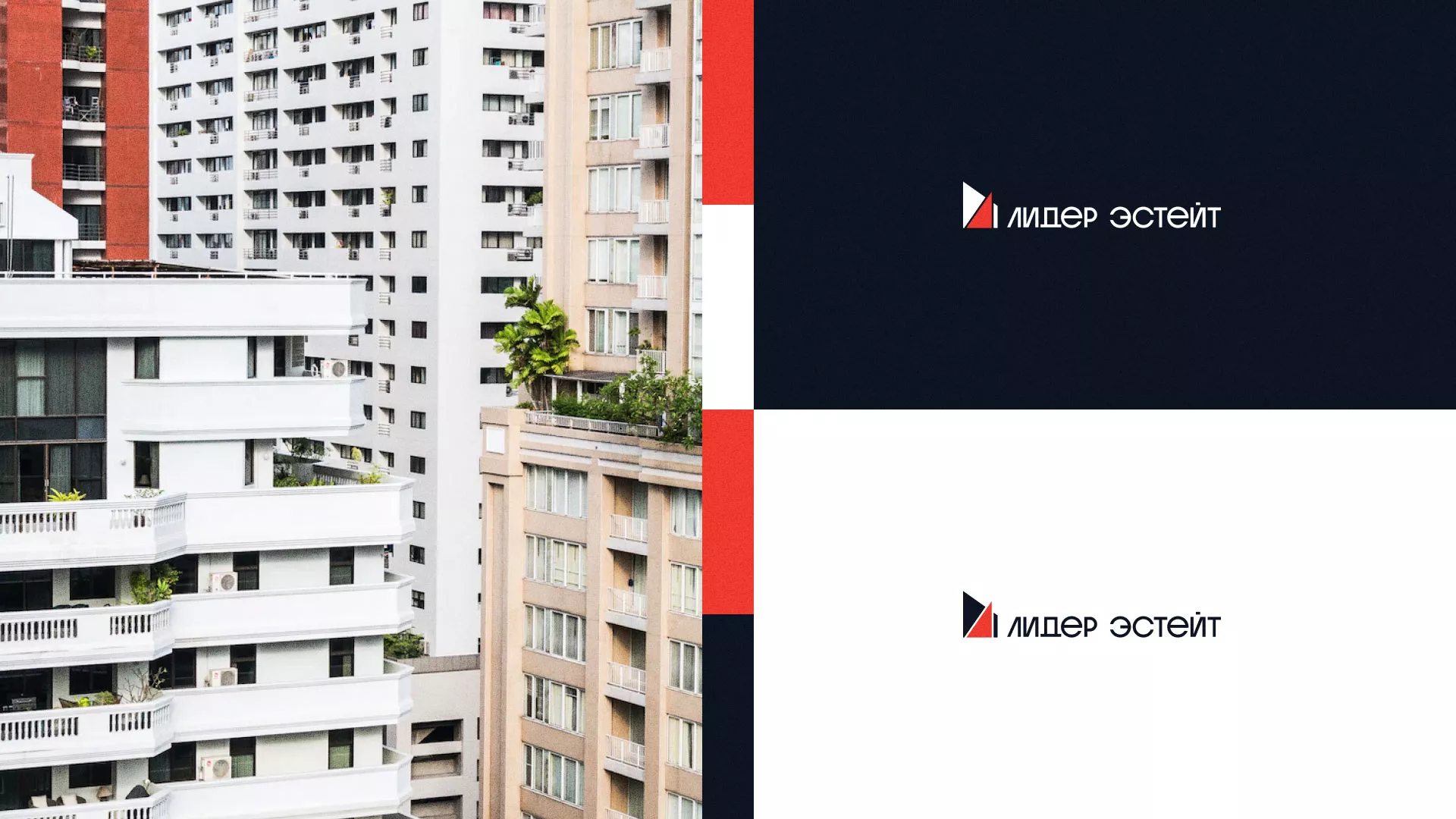 Сделали логотип для агентства недвижимости «Лидер Эстейт» в Белой Калитве